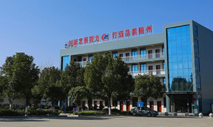 随州经济开发区bg大游小额贷款有限公司