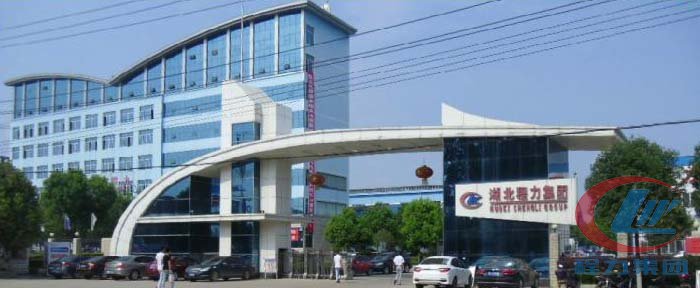 bg大游集团