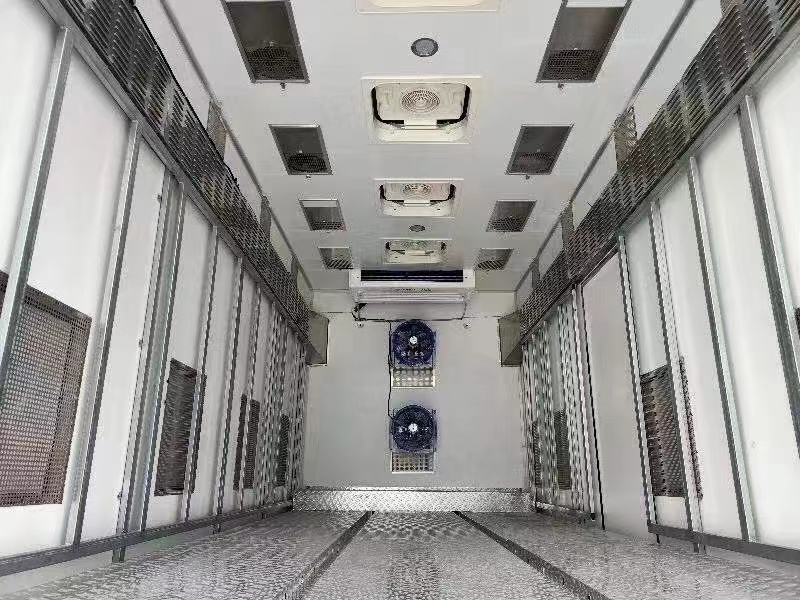 bg大游集团豪沃鸡苗车内饰图片
